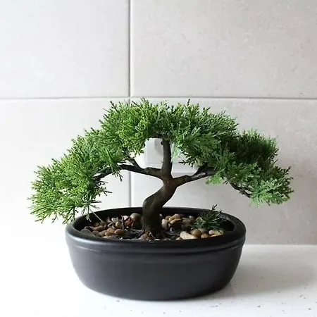 Pedreira Appartement Calheta (Madeira)