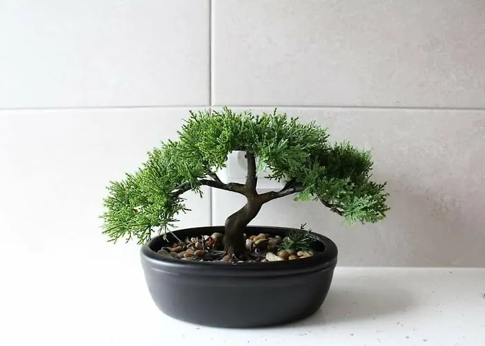 Pedreira Daire Calheta (Madeira)